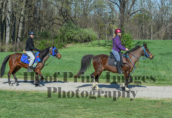 ChesapeakeSpring(4-18-21)0561