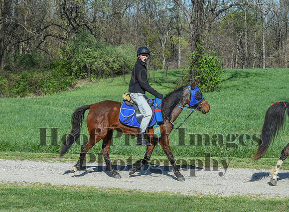 ChesapeakeSpring(4-18-21)0562