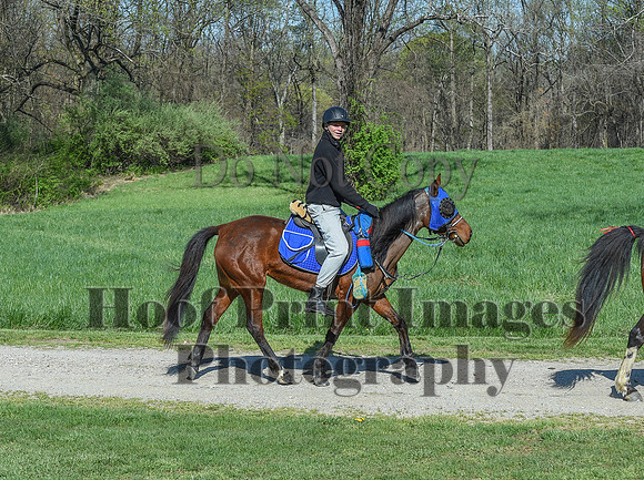 ChesapeakeSpring(4-18-21)0564