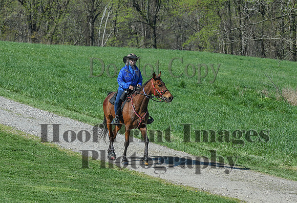 ChesapeakeSpring(4-18-21)0586