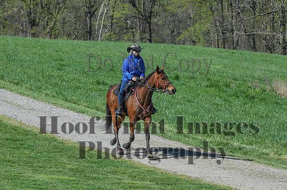 ChesapeakeSpring(4-18-21)0587