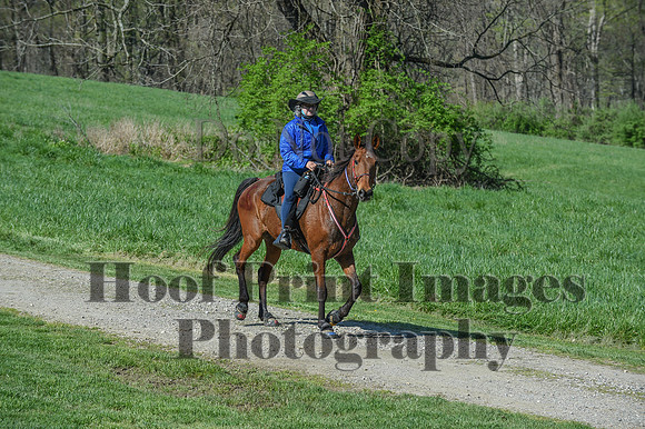ChesapeakeSpring(4-18-21)0588