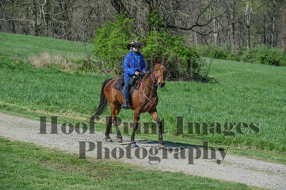 ChesapeakeSpring(4-18-21)0589