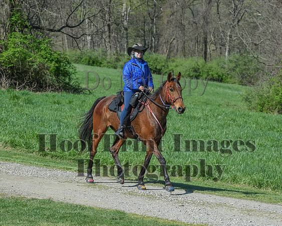 ChesapeakeSpring(4-18-21)0591