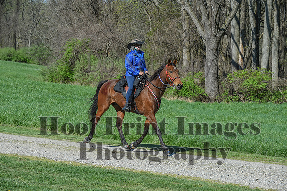 ChesapeakeSpring(4-18-21)0592