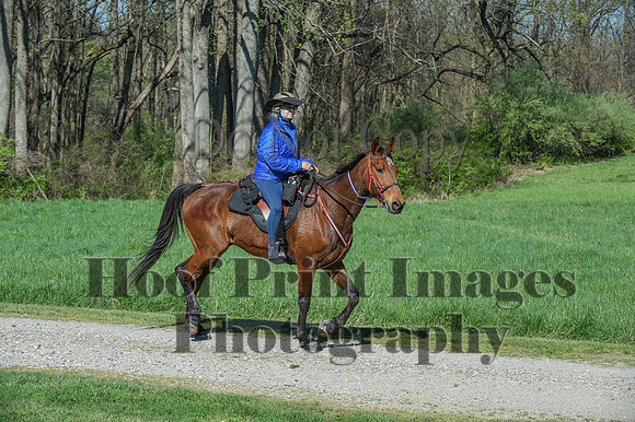 ChesapeakeSpring(4-18-21)0594