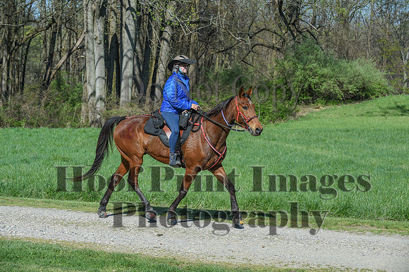 ChesapeakeSpring(4-18-21)0595
