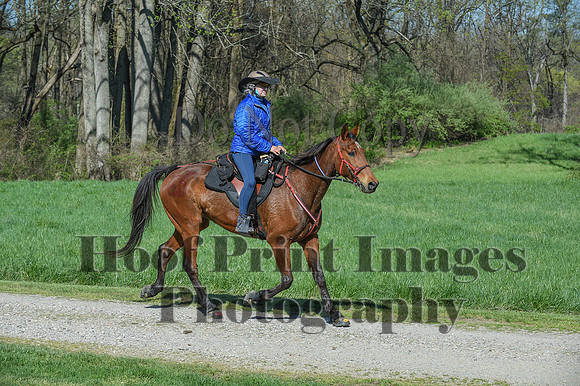 ChesapeakeSpring(4-18-21)0596
