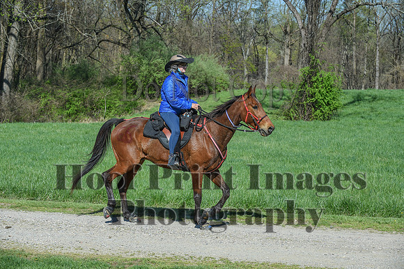 ChesapeakeSpring(4-18-21)0598