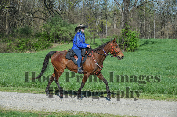 ChesapeakeSpring(4-18-21)0599