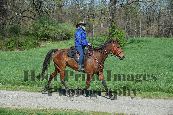 ChesapeakeSpring(4-18-21)0600