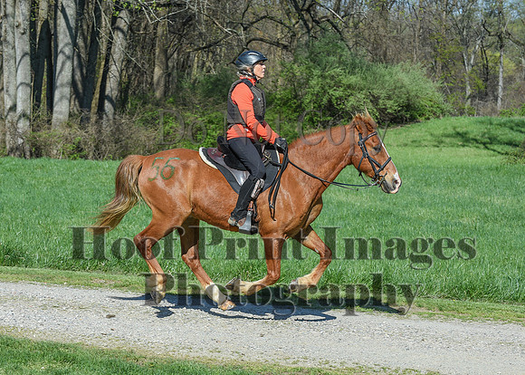 ChesapeakeSpring(4-18-21)0614
