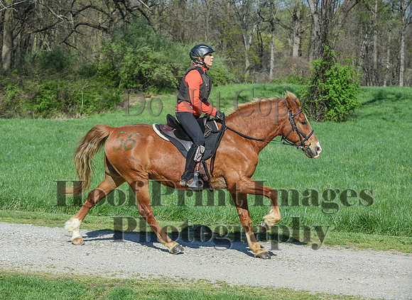 ChesapeakeSpring(4-18-21)0616