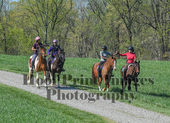 ChesapeakeSpring(4-18-21)0618