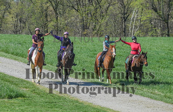 ChesapeakeSpring(4-18-21)0627