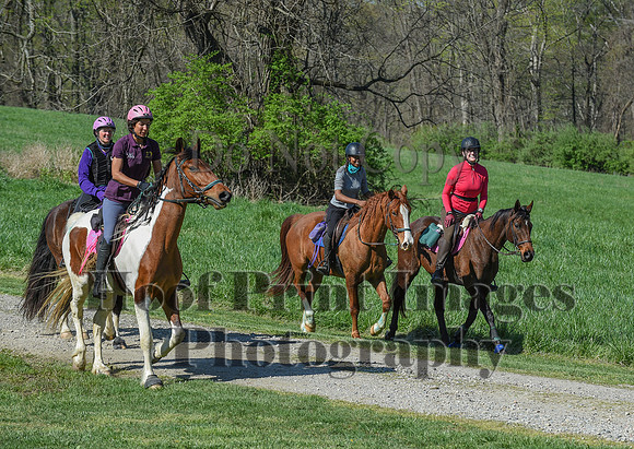 ChesapeakeSpring(4-18-21)0634