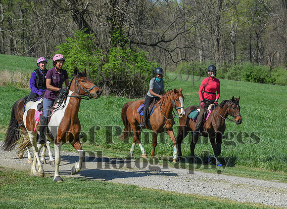 ChesapeakeSpring(4-18-21)0635