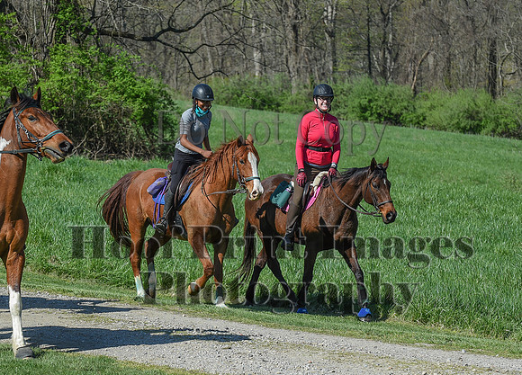 ChesapeakeSpring(4-18-21)0636