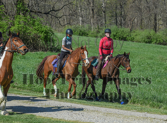 ChesapeakeSpring(4-18-21)0637