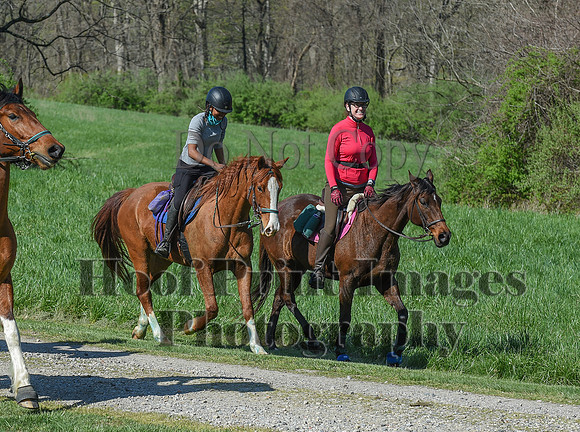 ChesapeakeSpring(4-18-21)0638