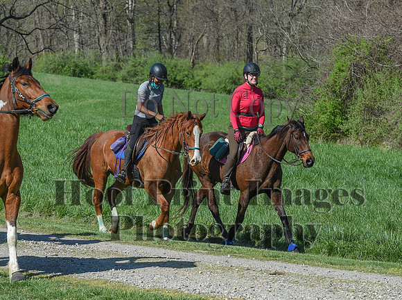 ChesapeakeSpring(4-18-21)0639