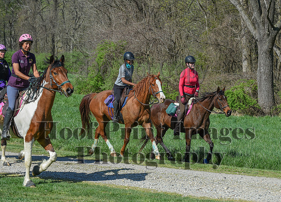 ChesapeakeSpring(4-18-21)0640