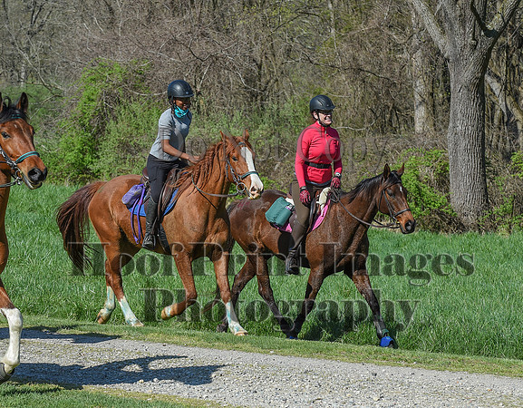 ChesapeakeSpring(4-18-21)0641