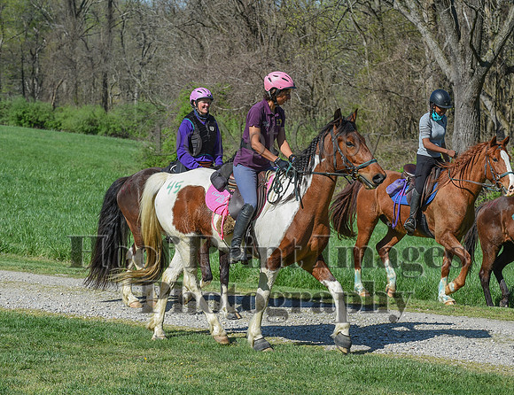 ChesapeakeSpring(4-18-21)0642