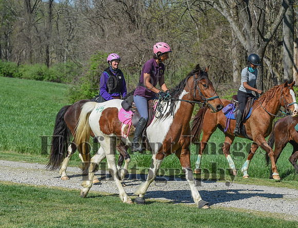 ChesapeakeSpring(4-18-21)0643