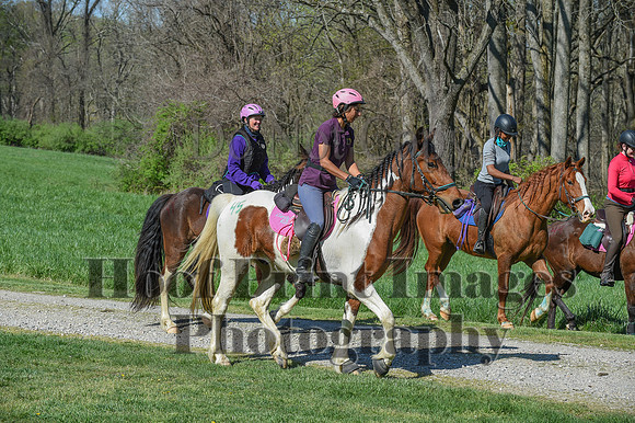ChesapeakeSpring(4-18-21)0644