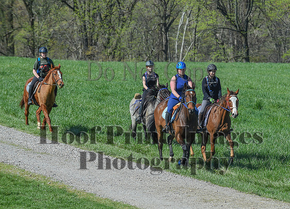 ChesapeakeSpring(4-18-21)0657
