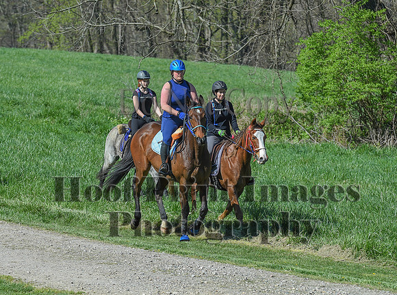 ChesapeakeSpring(4-18-21)0659