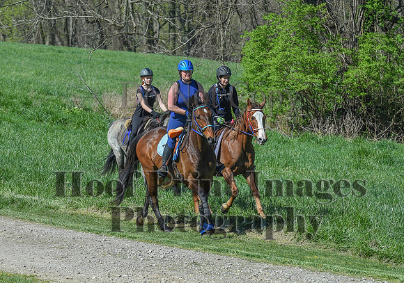 ChesapeakeSpring(4-18-21)0660