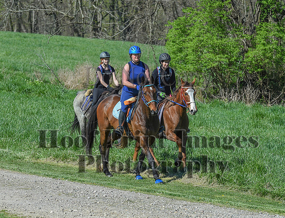 ChesapeakeSpring(4-18-21)0661