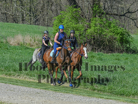 ChesapeakeSpring(4-18-21)0662