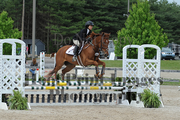 BRSa(5-17-14)0.8mJCl0072