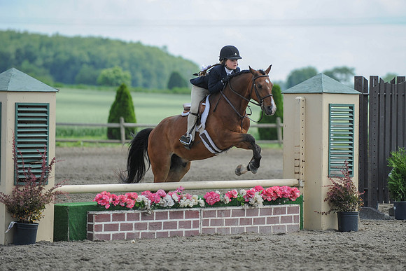 SC(6-28-14)SMPony0044