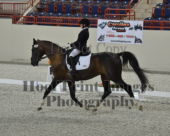CWdressageII(8-21-16)1480