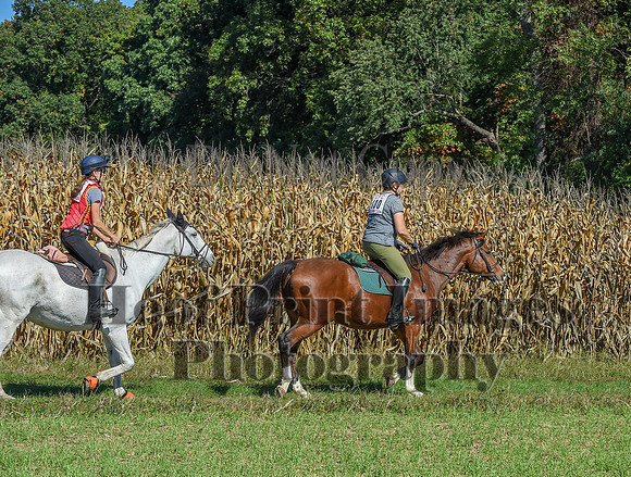 CheshirePonyClubPC(10-6-24)0407