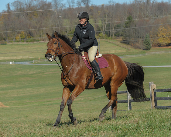 BHPC(11-15-15)0248