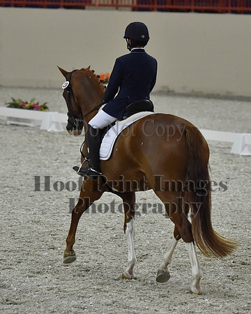 CWdressageII(8-21-16)2036