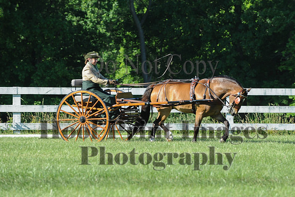 CDE(6-7-14)0091