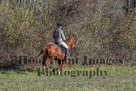 FairHillFallPC(11-30-24)0141