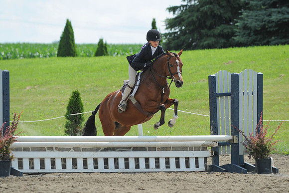 SC(6-28-14)SMPony0065
