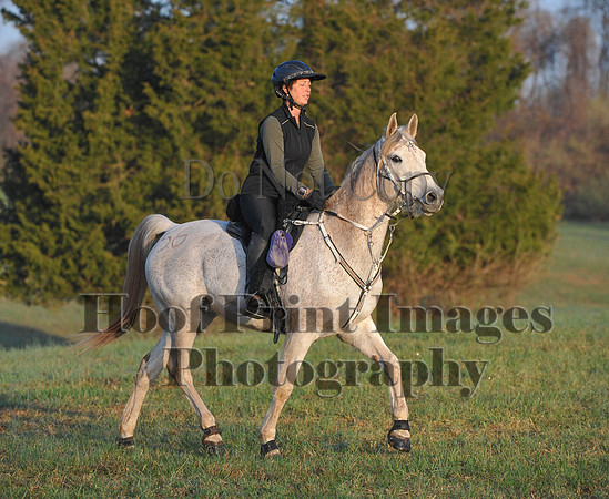 Foxcatcher(4-12-14)0275