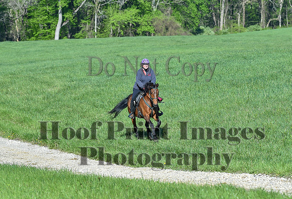 ChesapeakeSpring(4-27-25)0402