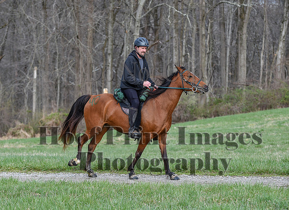 ChesapeakeSpring(4-10-22)0129