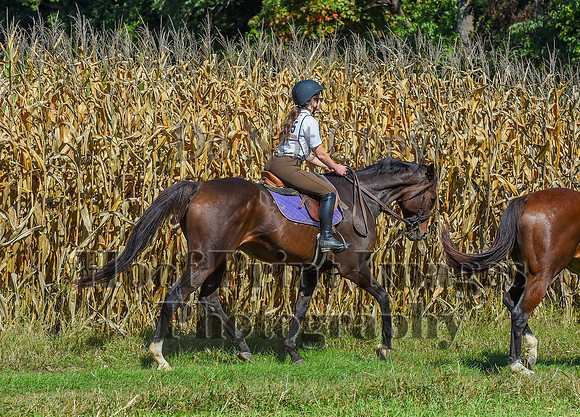 CheshirePonyClubPC(10-6-24)0510