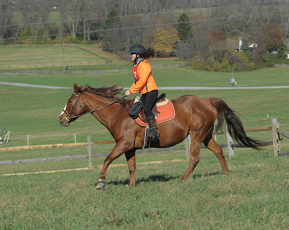 BHPC(11-15-15)0433