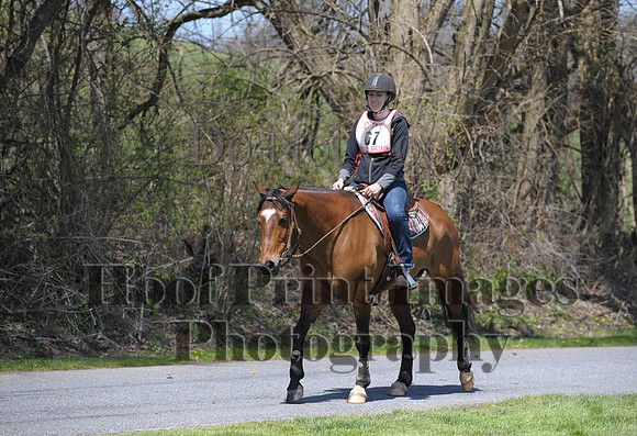CheshirePC(4-16-16)0444